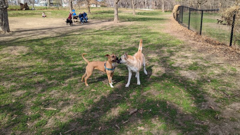 Hanscom Park - Omaha, NE