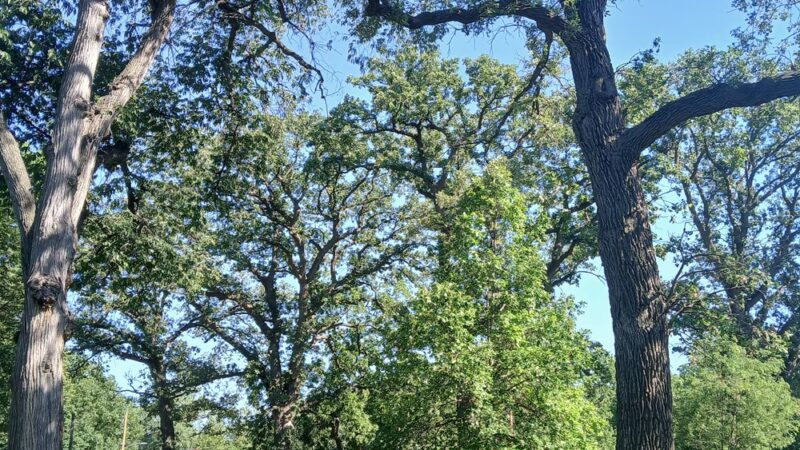 Hanscom Park - Omaha, NE