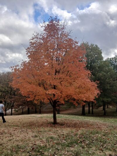 Hanscom Park - Omaha, NE