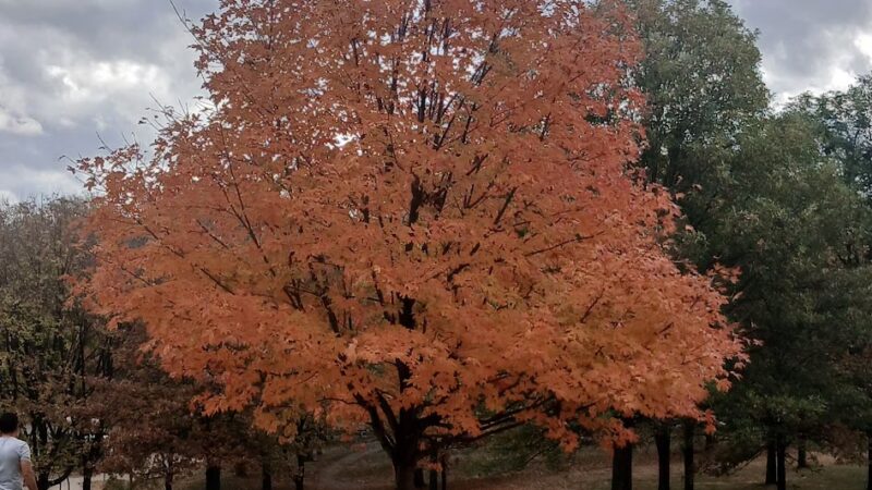 Hanscom Park - Omaha, NE