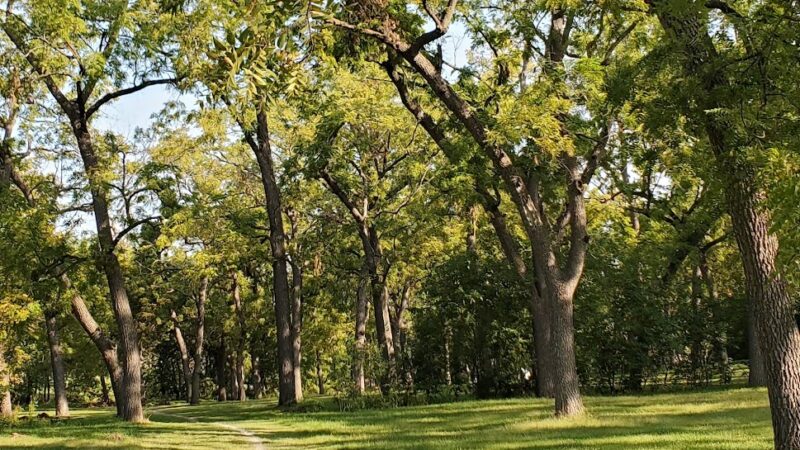 Meadow Lane Park - Omaha, NE