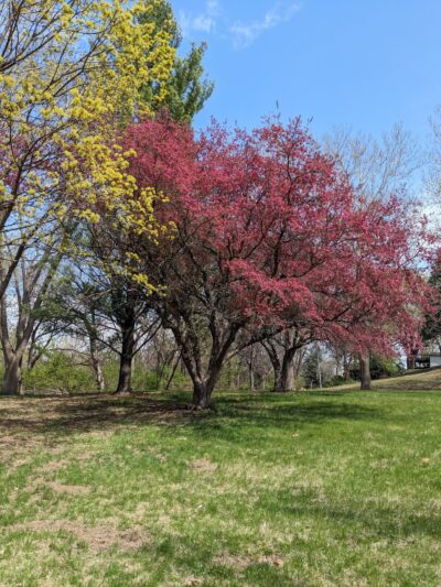Meadow Lane Park - Omaha, NE