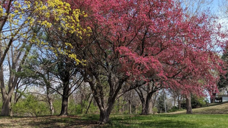 Meadow Lane Park - Omaha, NE