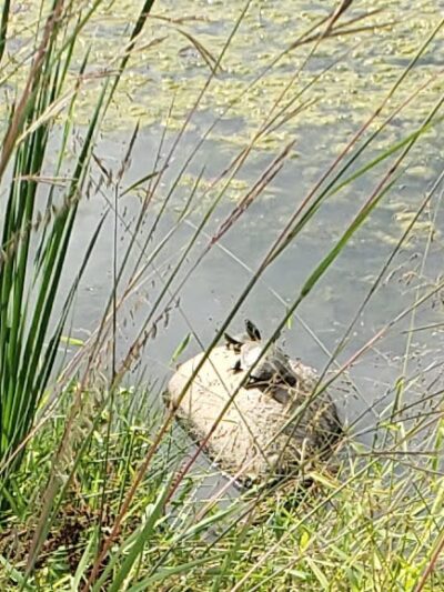 Rambleridge Park - Omaha, NE