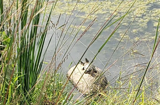 Rambleridge Park - Omaha, NE