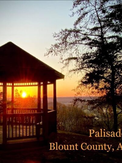 Palisades Park - Oneonta, AL