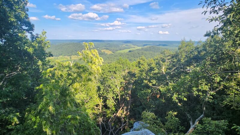 Palisades Park - Oneonta, AL