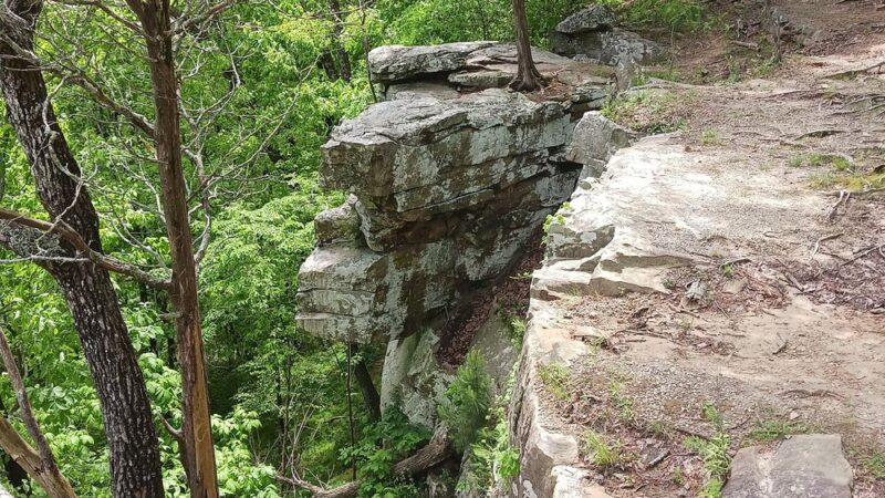 Palisades Park - Oneonta, AL