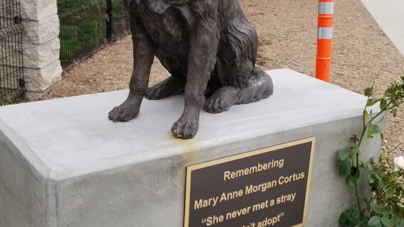 James R. Bryant Dog Park - Ontario, CA