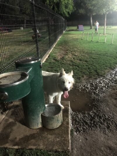 James R. Bryant Dog Park - Ontario, CA