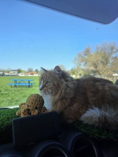 Ontario Optimist Park - Ontario, OR