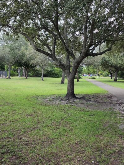 Amelia Earhart Dog Park - Opa-locka, FL