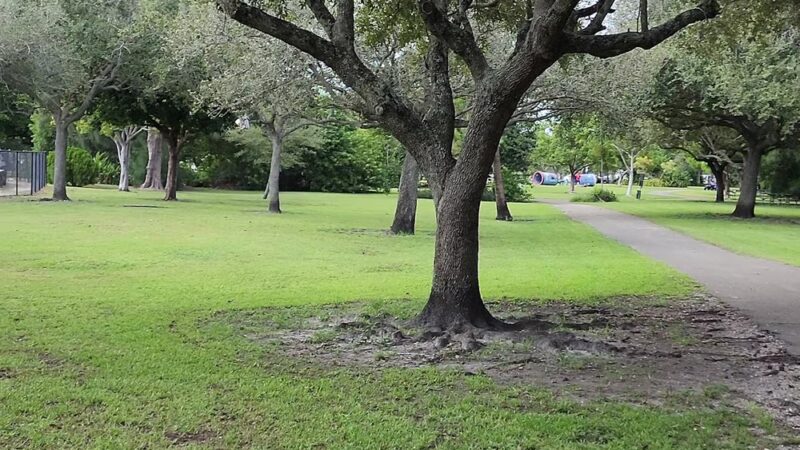 Amelia Earhart Dog Park - Opa-locka, FL