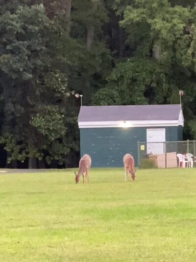 Memorial Field - Oradell, NJ
