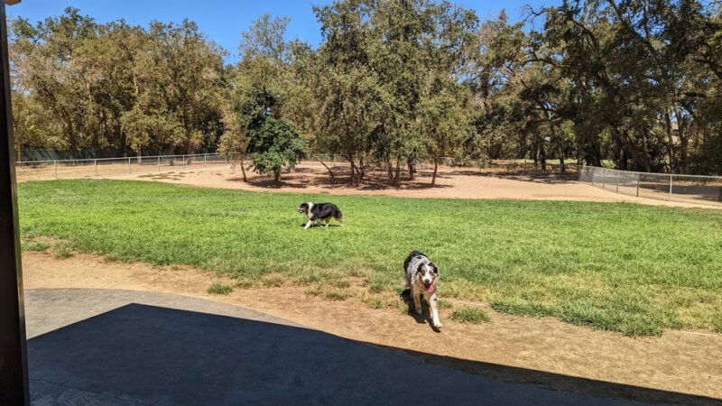 Dog park - Orangevale, CA