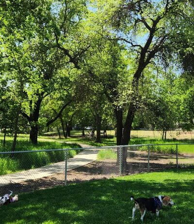 Dog park - Orangevale, CA