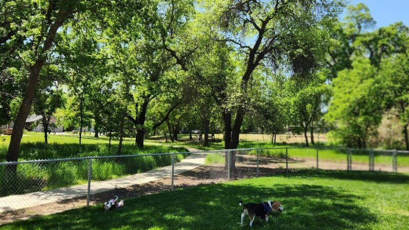 Dog park - Orangevale, CA