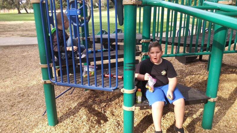Dog park - Orangevale, CA