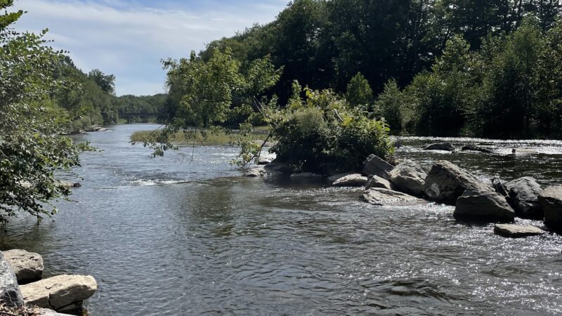 Kocher Park - Orangeville, PA