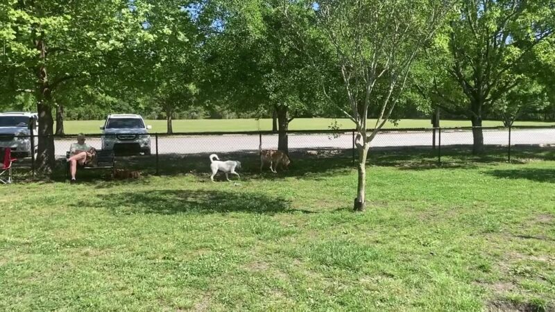 Oriental Dog Park - Oriental, NC