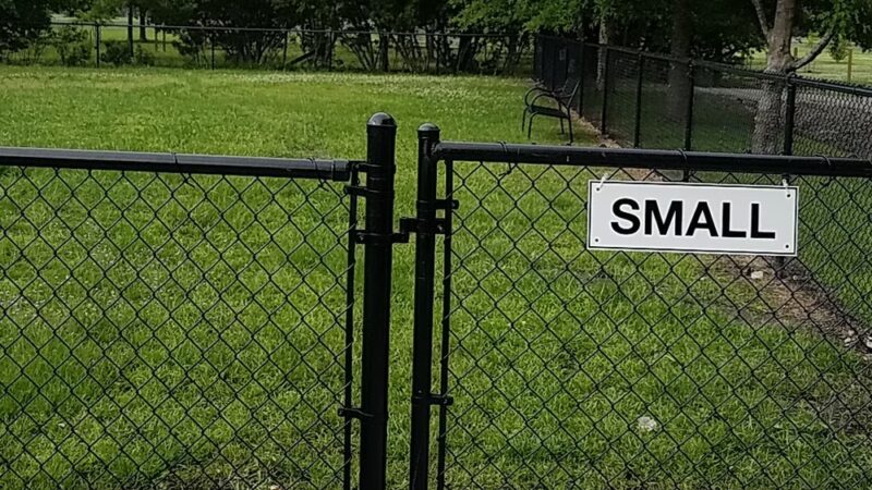 Oriental Dog Park - Oriental, NC