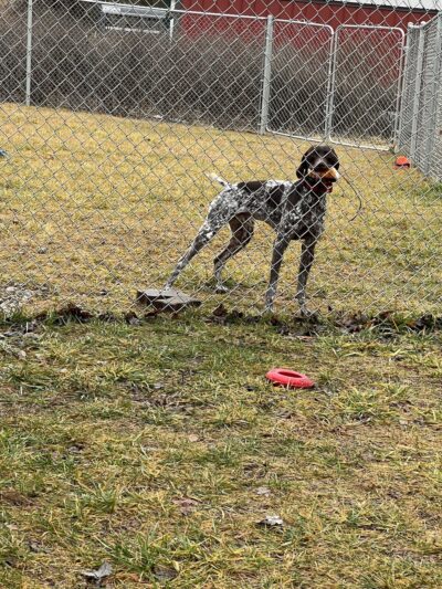 Orland Unleashed - Orland, IN