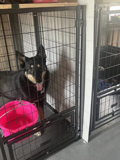 Orland Unleashed - Orland, IN