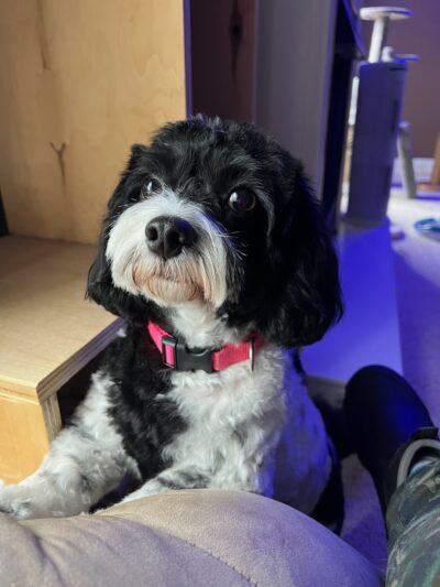 Orland Unleashed - Orland, IN