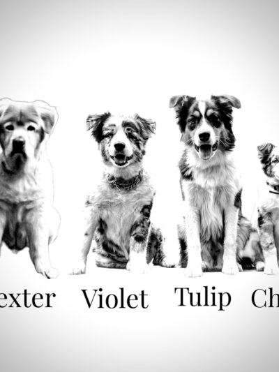 Orland Unleashed - Orland, IN