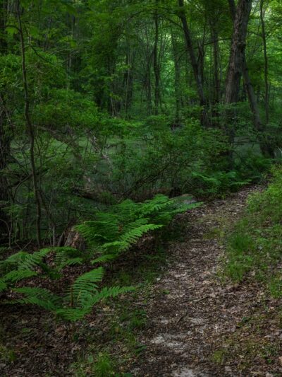 Ropchan Memorial - ACRES Land Trust - Orland, IN