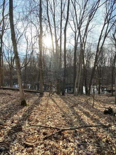 Ropchan Memorial - ACRES Land Trust - Orland, IN