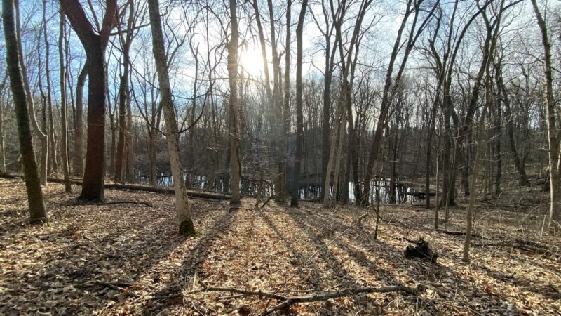 Ropchan Memorial - ACRES Land Trust - Orland, IN