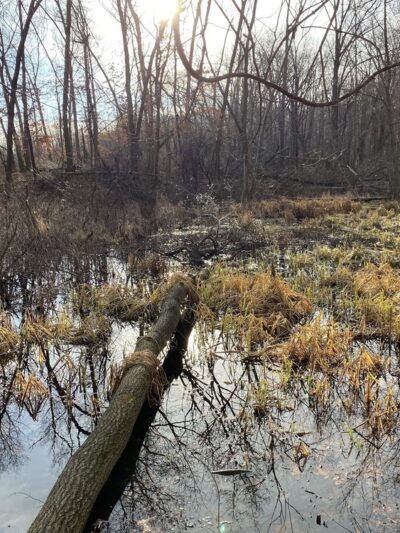 Ropchan Memorial - ACRES Land Trust - Orland, IN