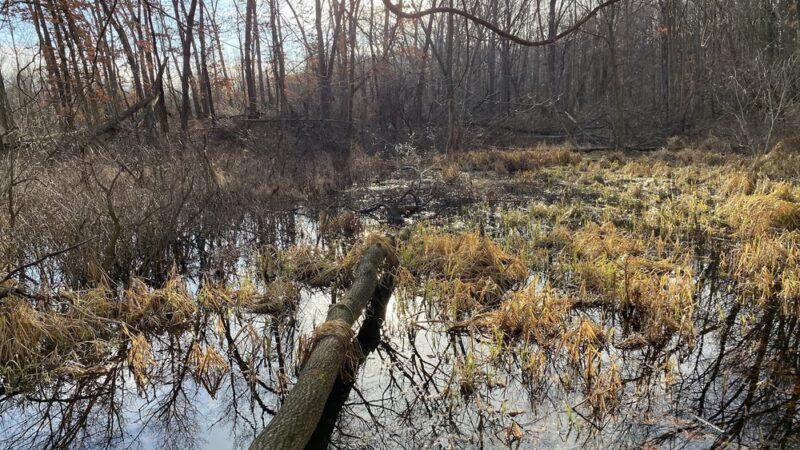 Ropchan Memorial - ACRES Land Trust - Orland, IN