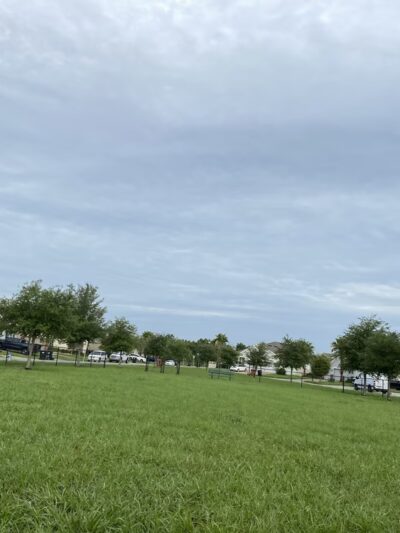 The Reserve at Sawgrass Dog Park - Orlando, FL