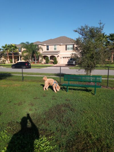 The Reserve at Sawgrass Dog Park - Orlando, FL