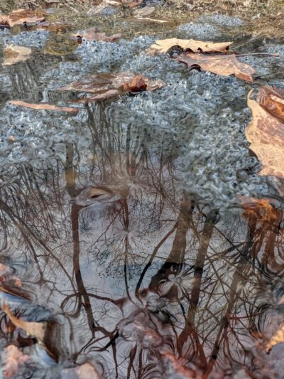 Riffle Run Recreation Area - Orlando, WV