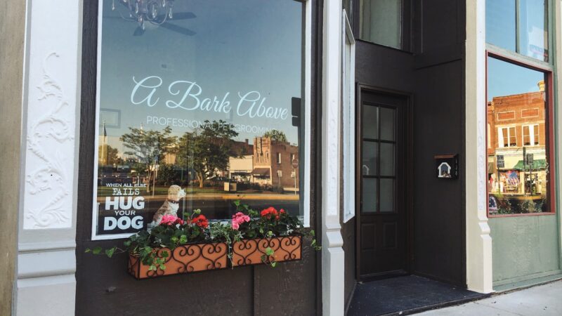 A Bark Above LLC - Orleans, IN