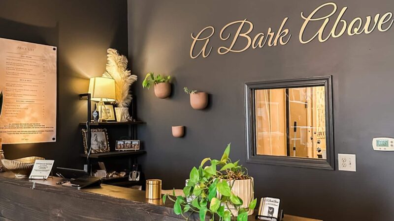 A Bark Above LLC - Orleans, IN