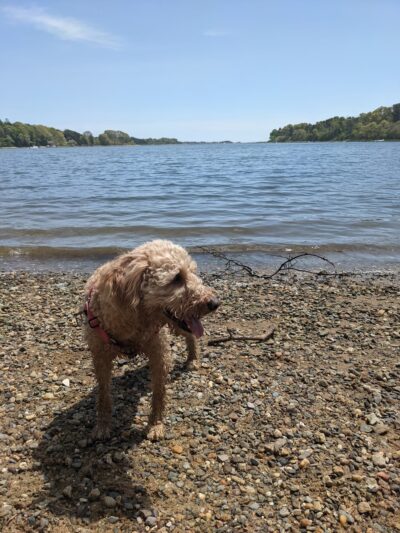 Kent's Point - Orleans, MA