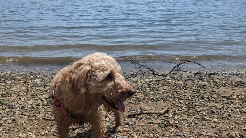 Kent's Point - Orleans, MA