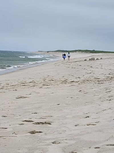 Orleans Parks & Beaches - Orleans, MA