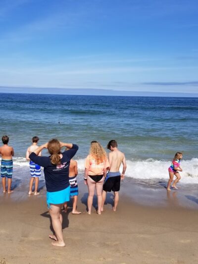 Orleans Parks & Beaches - Orleans, MA