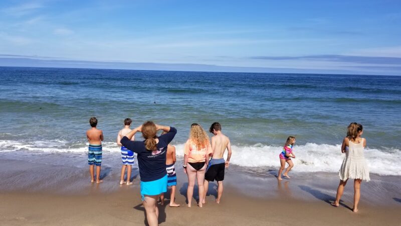 Orleans Parks & Beaches - Orleans, MA