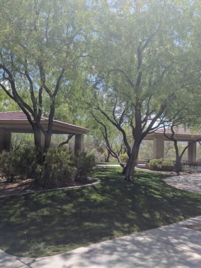 Hohokam Park - Oro Valley, AZ