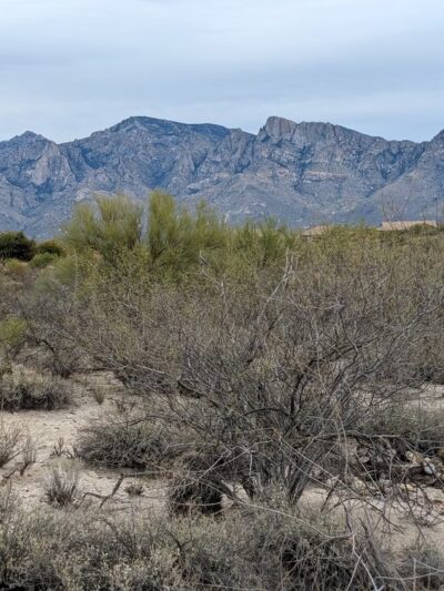 Hohokam Park - Oro Valley, AZ