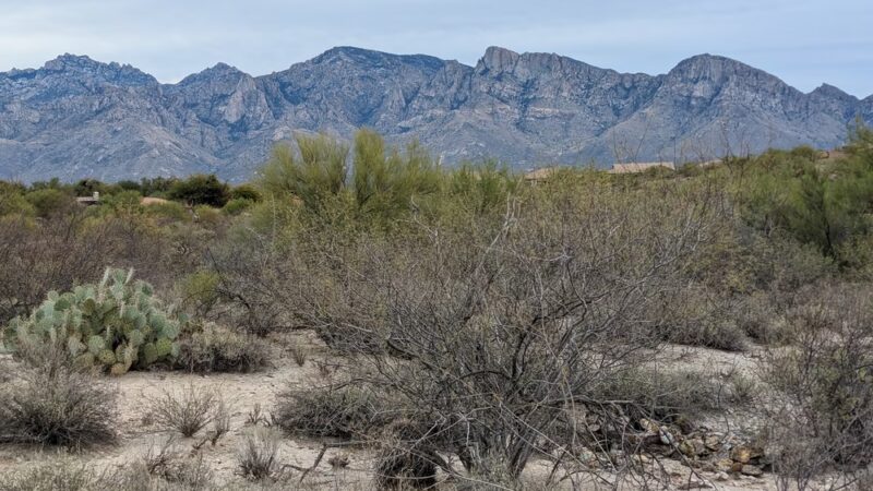 Hohokam Park - Oro Valley, AZ