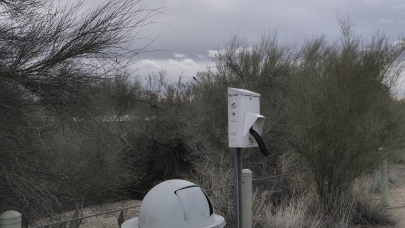 Milonius K Entwhistle Dog Bin - Oro Valley, AZ