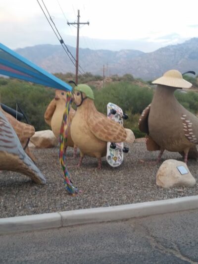 Naranja Park - Oro Valley, AZ