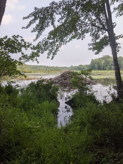 Gould's Landing - Orono, ME
